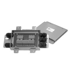 Células Analógicas